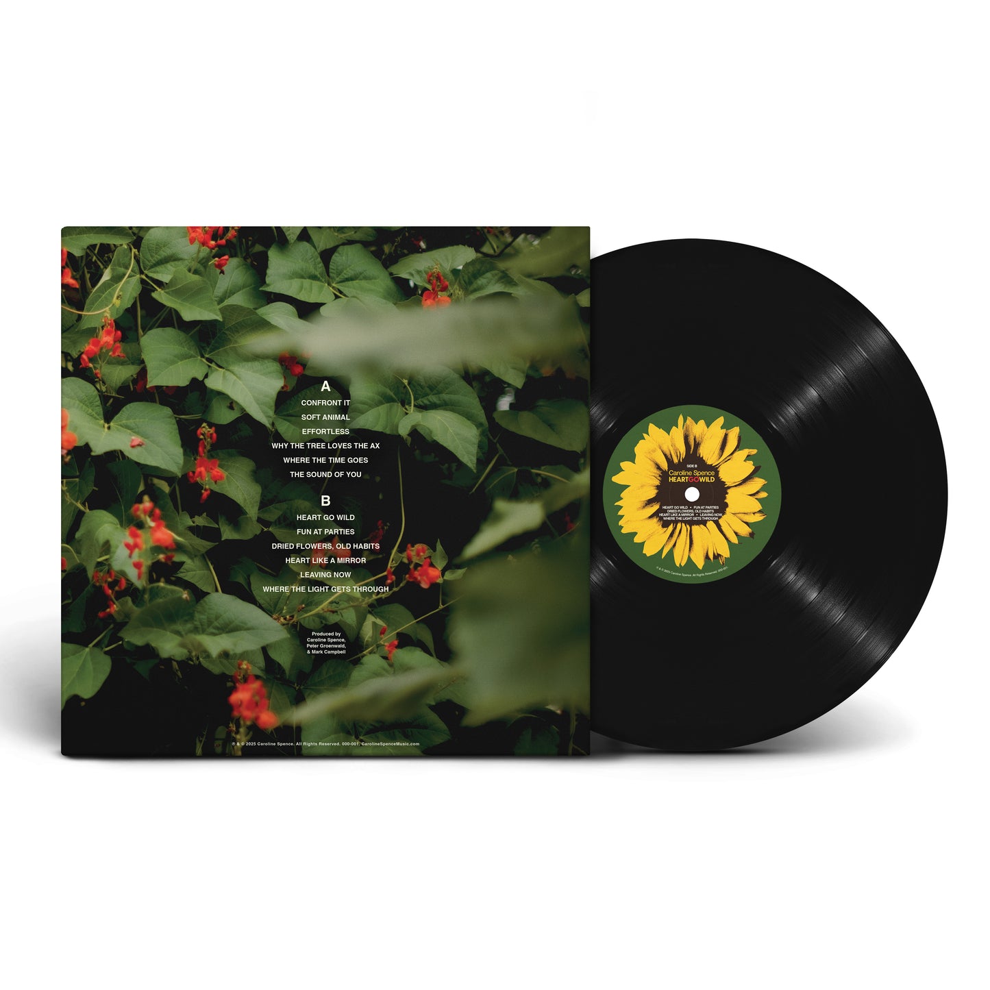 Heart Go Wild (LP, Vinyl)